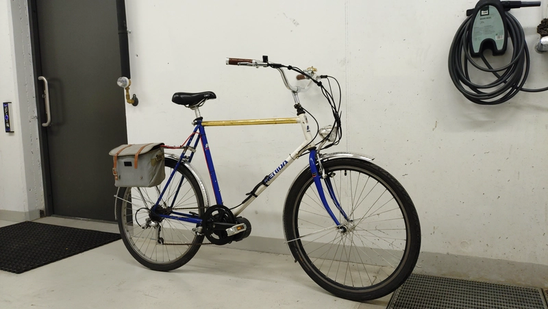 Picture of my home made e-bike